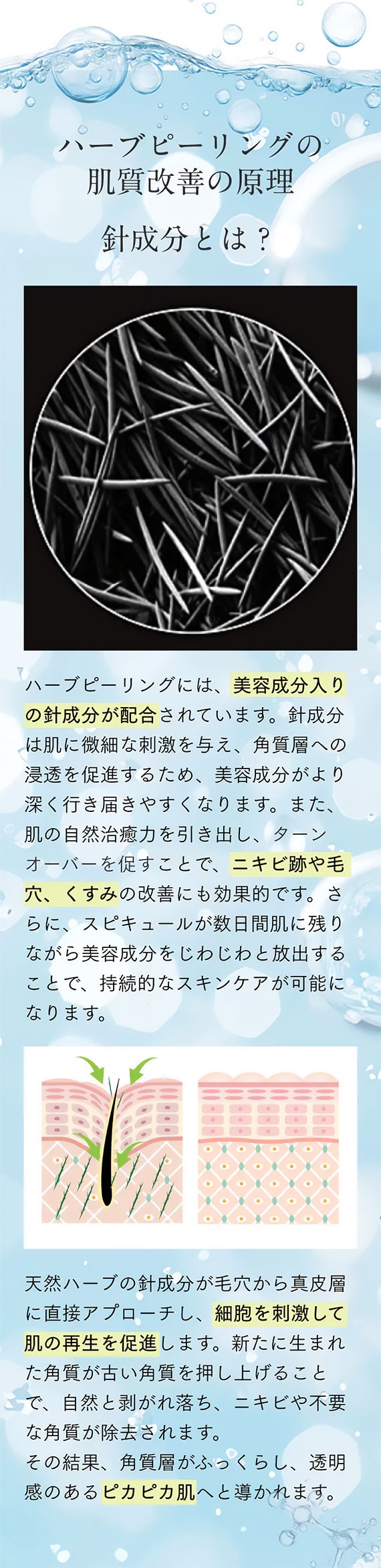 ハーブピーリングの肌質改善の原理 針成分とは？